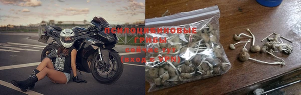 Альфа ПВП Кукмор
