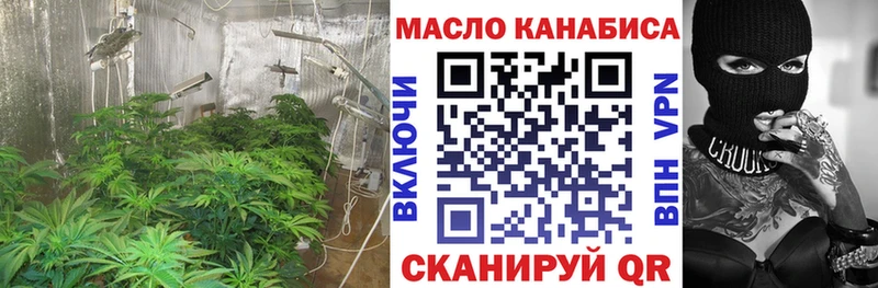 Купить закладки Жуковский Дистиллят ТГК вейп